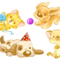 cuccioli