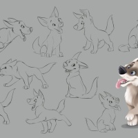 expr-dog