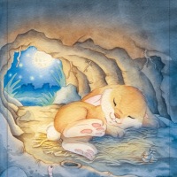 page-8