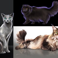 cats