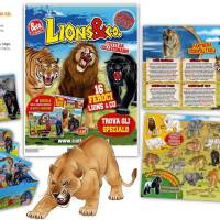 lions-co-maxxi-edition