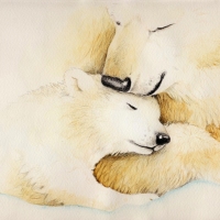 white-bears